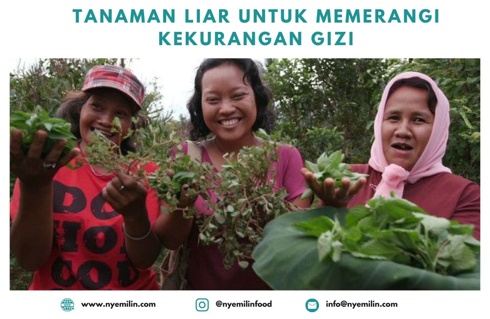 Tanaman Pangan Liar Sebagai Solusi Mengatasi Gizi Buruk