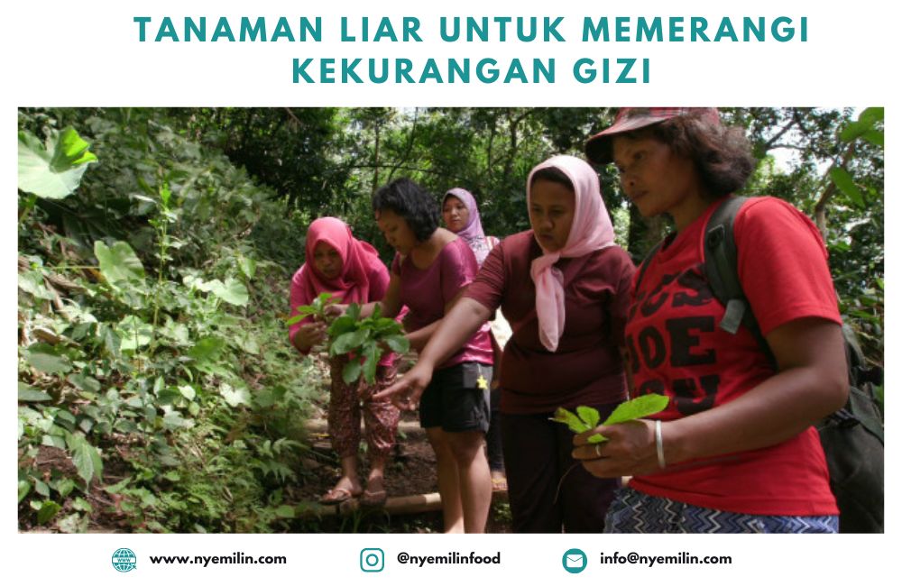 Tanaman Pangan Liar Sebagai Solusi Mengatasi Gizi Buruk